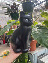 Black Cat Watering Can