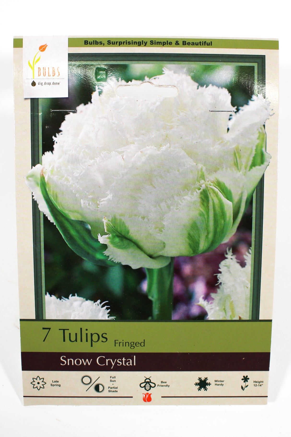 Tulips 'Snow Crystal' - Bulbs