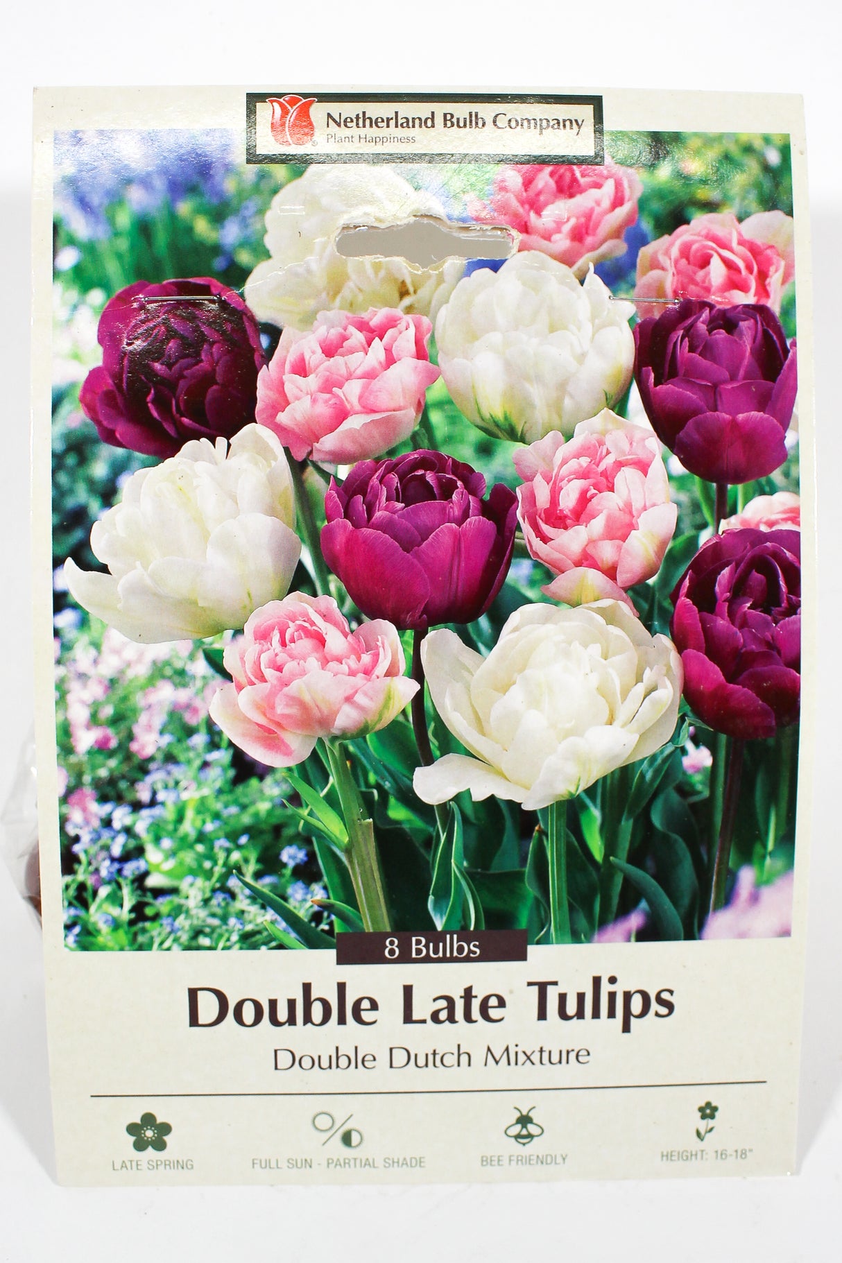 Tulip 'Double Dutch Mixture' - Bulbs