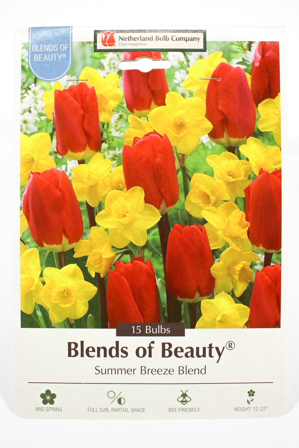 Narcissus & Tulip 'Summer Breeze Blend' - Bulbs