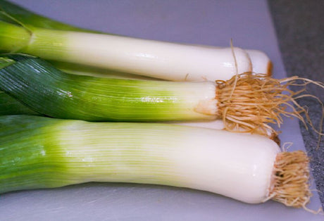 Leek