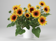 Bouquet of sunflowers in a white vase on a white background