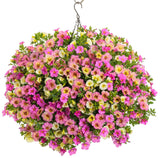 Calibrachoa hybrid 'Superbells® Omni™ Pink Lemonade' combination