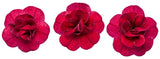 Calibrachoa hybrid 'Superbells® Double Ruby' flowers