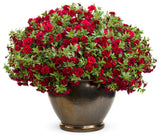 Calibrachoa hybrid 'Superbells® Double Ruby' in decorative pot