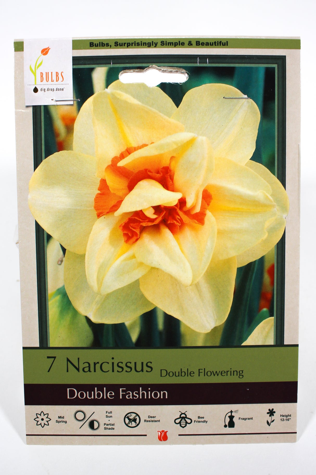 Narcissus 'Double Fashion' - Bulbs