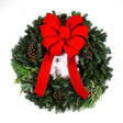 24" Romence Gardens 'Fraser Fir Mixed Wreath'