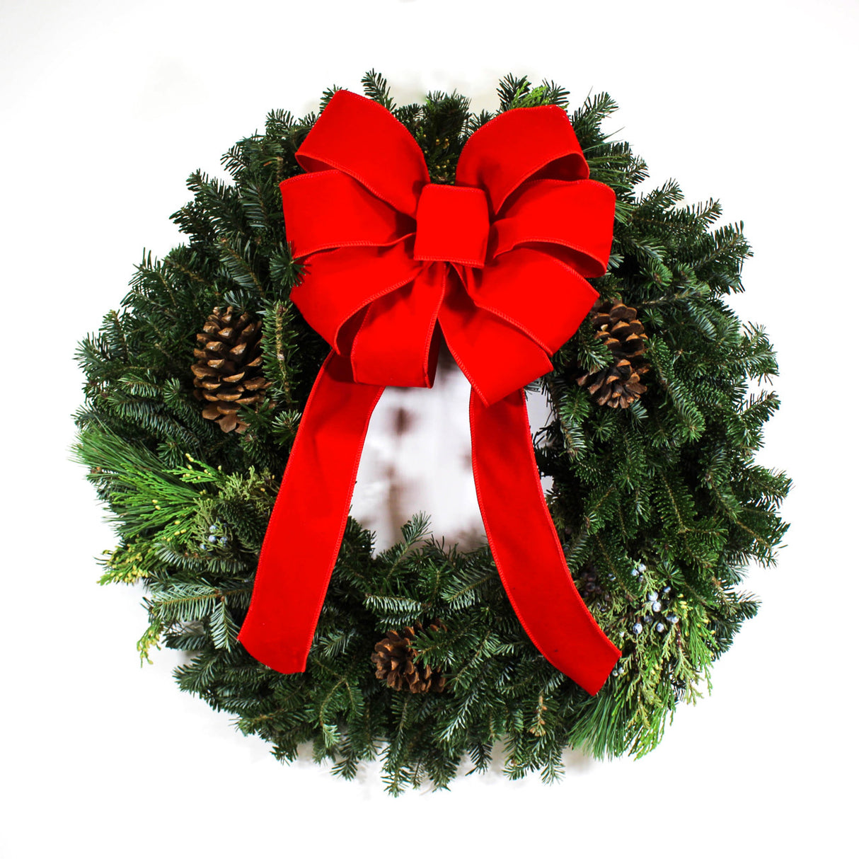 24" Romence Gardens 'Fraser Fir Mixed Wreath'