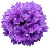 Verbena hybrid 'Superbena® Imperial Blue™' flower