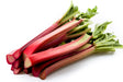 Rhubarb 'Victoria'