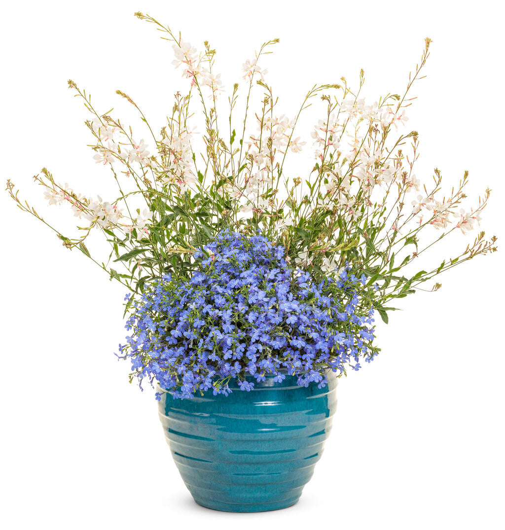 Sky authentic Blue Flower Pot